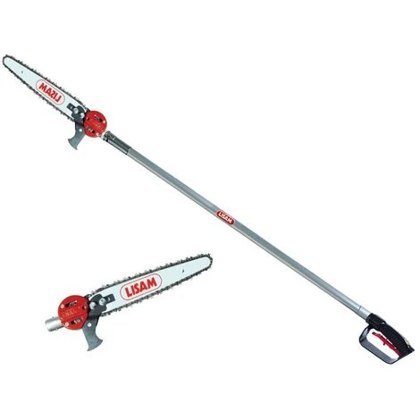 Seghetto Pneumatico Lisam Sky Per Potatura Con Barra A Punta Con Asta Da 2 Mt 1 Seghetto Pneumatico Lisam Sky Per Potatura Con Barra A Punta Con Asta Da 2 Mt