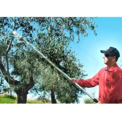 Seghetto Pneumatico Lisam Sky Per Potatura Con Barra A Punta Con Asta Da 2 Mt 6 Seghetto Pneumatico Lisam Sky Per Potatura Con Barra A Punta Con Asta Da 2 Mt -Husqvarni Negozio 16052808 3