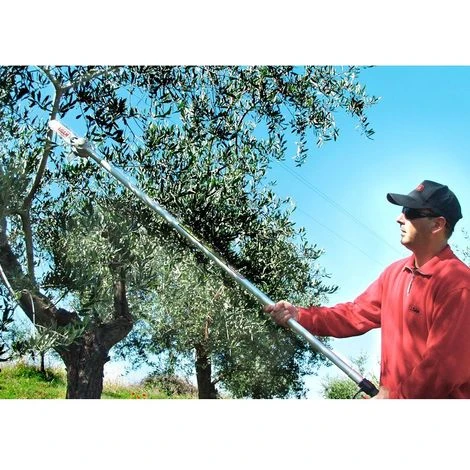Seghetto Pneumatico Lisam Sky Per Potatura Con Barra A Punta Con Asta Da 2 Mt 3 Seghetto Pneumatico Lisam Sky Per Potatura Con Barra A Punta Con Asta Da 2 Mt - immagine 3