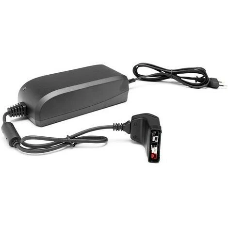 MOTOSEGA ELETTRICA HUSQVARNA 120I CON BATTERIA E CARICABATTERIE 3 MOTOSEGA ELETTRICA HUSQVARNA 120I CON BATTERIA E CARICABATTERIE - immagine 3