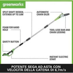 Greenworks Batteria Tall Probe G24PS20K2 Li-Ion 24V, 20 Cm Lunghezza Spada, 6.7m/s Velocità Della Catena, 280 Cm Barra In Alluminio, 3 Pezzi, Inclusa Batteria 2Ah E Caricabatterie