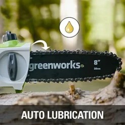 Greenworks Batteria Tall Probe G24PS20K2 Li-Ion 24V, 20 Cm Lunghezza Spada, 6.7m/s Velocità Della Catena, 280 Cm Barra In Alluminio, 3 Pezzi, Inclusa Batteria 2Ah E Caricabatterie -Husqvarni Negozio 41569303 4