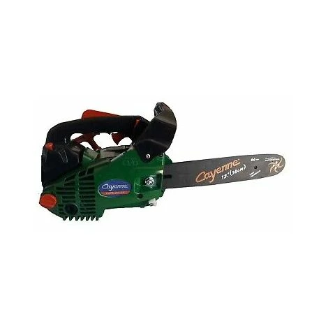 Motosega A Scoppio 25CC 2 Tempi Con Barra 30CM Per Potatura Giardinaggio Mod.250 2 Motosega A Scoppio 25CC 2 Tempi Con Barra 30CM Per Potatura Giardinaggio Mod.250 - immagine 2