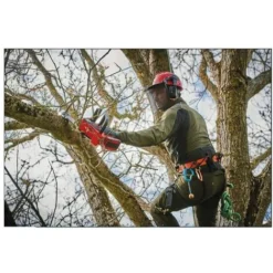 Einhell Elettrosega Da Potatura A Batteria FORTEXXA 18/20 TH (1x3,0Ah) SENZA BATTERIA 7 Einhell Elettrosega Da Potatura A Batteria FORTEXXA 18/20 TH (1x3,0Ah) SENZA BATTERIA -Husqvarni Negozio 69767638 4