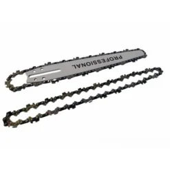 Lama E Barra Per Motosega Da 25cm Carving Più Catena E Seconda Catena In Omaggio