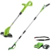 Greenworks Potatore Ad Asta, 24V, 20 Cm Lunghezza Spada Con Batteria 2Ah E Caricabatterie