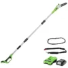 Greenworks Tools 2000107UA Potatore Telescopico Con 2 Ah Batterie E Caricabatterie, 24 V, Verde, 20 Cm (8) + Sega A Catena 20 Cm (8), 29507
