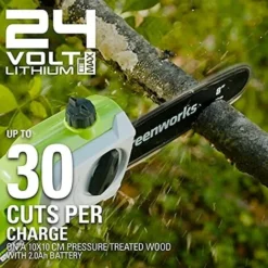 Greenworks Tools 2000107UA Potatore Telescopico Con 2 Ah Batterie E Caricabatterie, 24 V, Verde, 20 Cm (8) + Sega A Catena 20 Cm (8), 29507 -Husqvarni Negozio 93981837 4